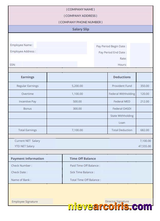 Salary Slip